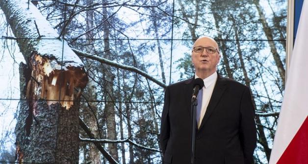 Jest program ratunkowy dla Puszczy Białowieskiej